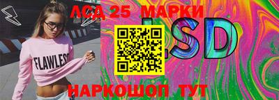 индика Владимир