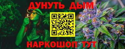индика Владимир