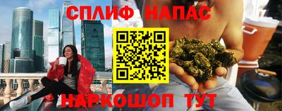 индика Владимир