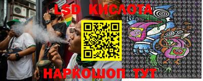 индика Владимир