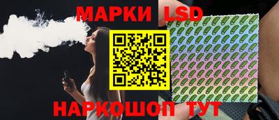 индика Владимир