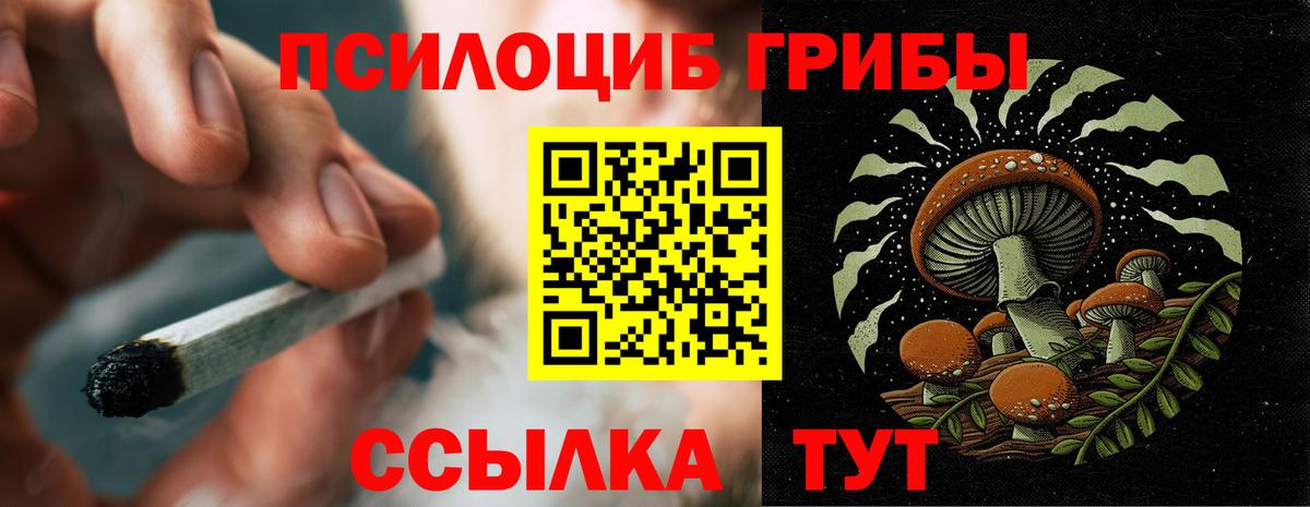Галлюциногенные грибы Cubensis  Вход с VPN  Богородицк 